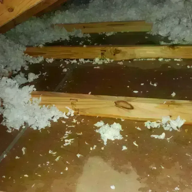 Attic Water Damage in Deer Park, IL