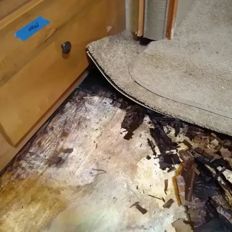 Wood Floor Water Damage in Deer Park, IL